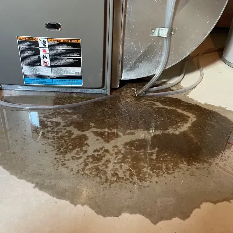 Appliance Leak Cleanup in Dranesville, VA